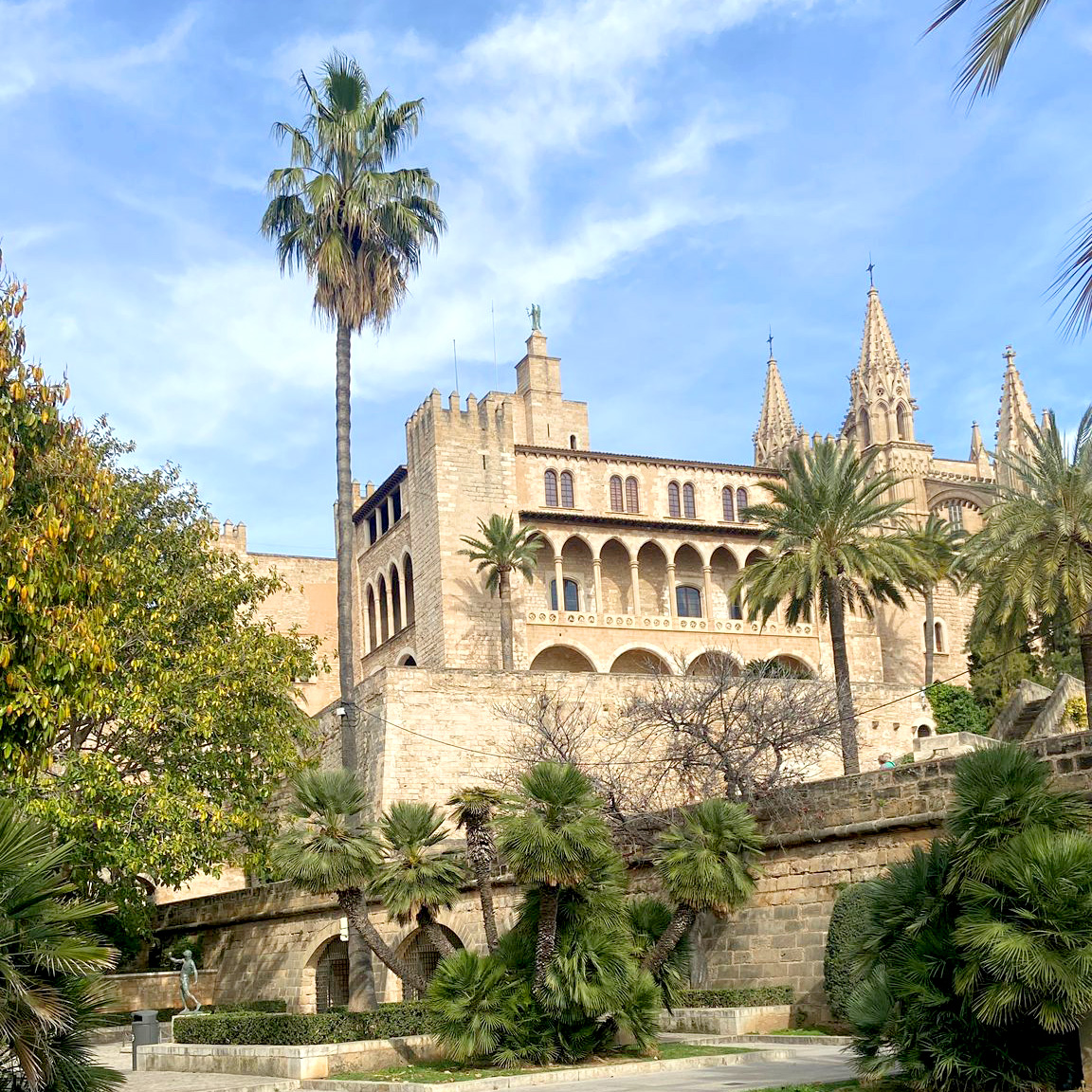 Das Bild zeigt eine Aufnahme einer Kathedrale auf Mallorca. Im Vordergrund befinden sich Palmen und weiter Pflanzen.